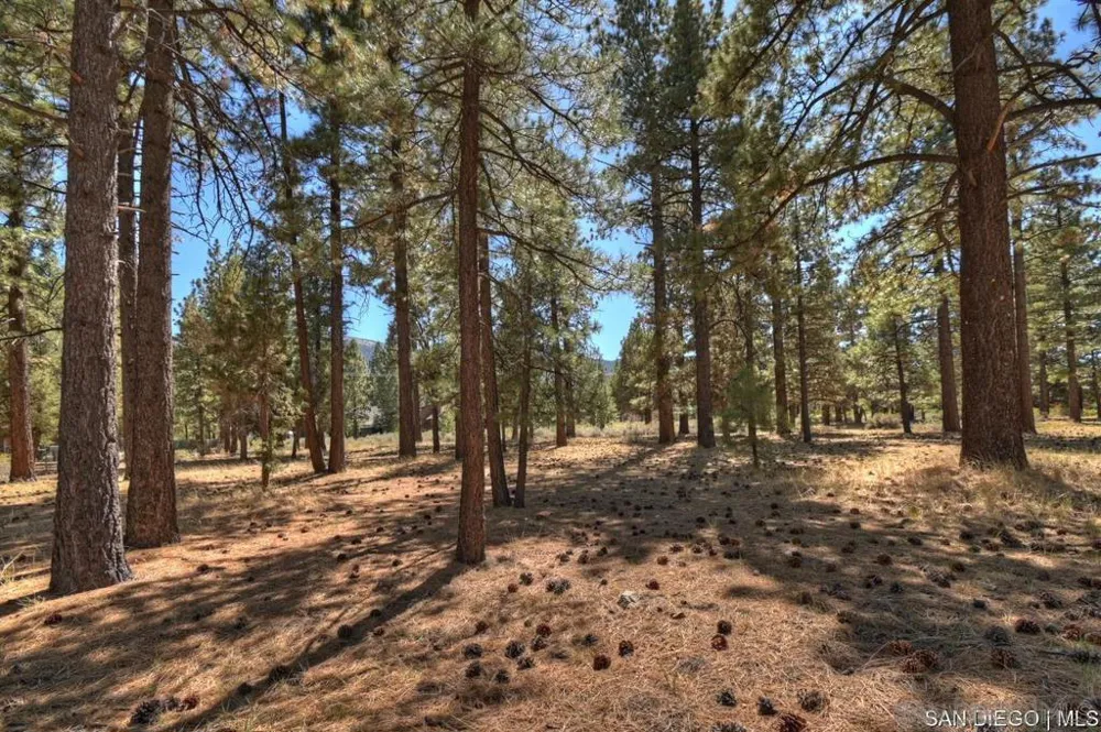 2161 Glencove LN Big Bear, CA 92314