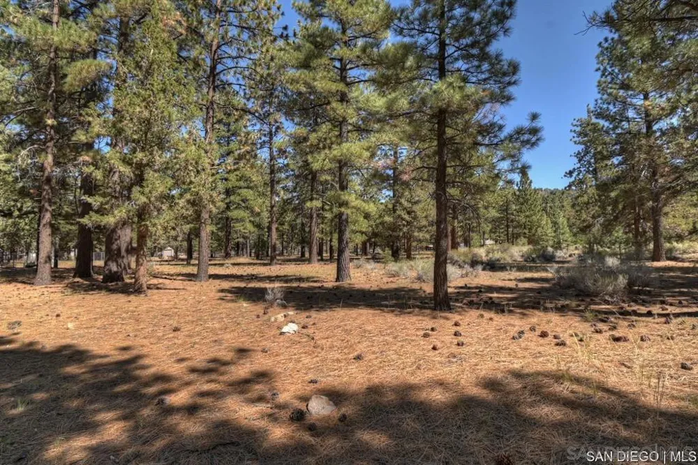 2161 Glencove LN Big Bear, CA 92314