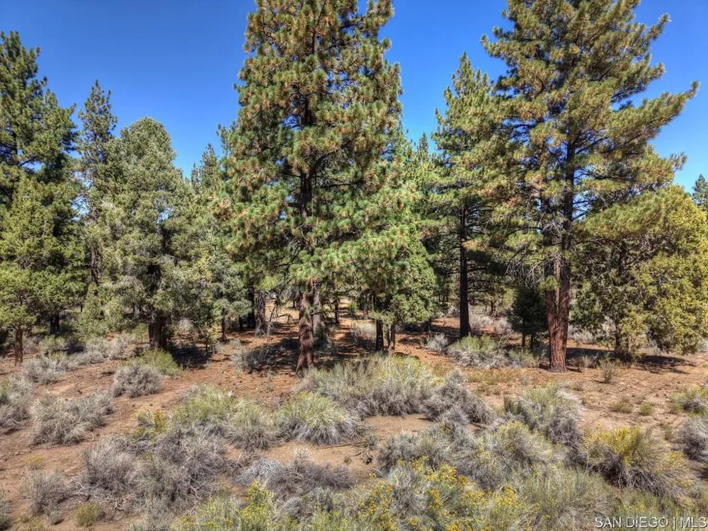 2161 Glencove LN Big Bear, CA 92314