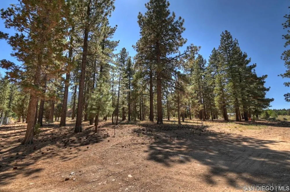 2161 Glencove LN Big Bear, CA 92314