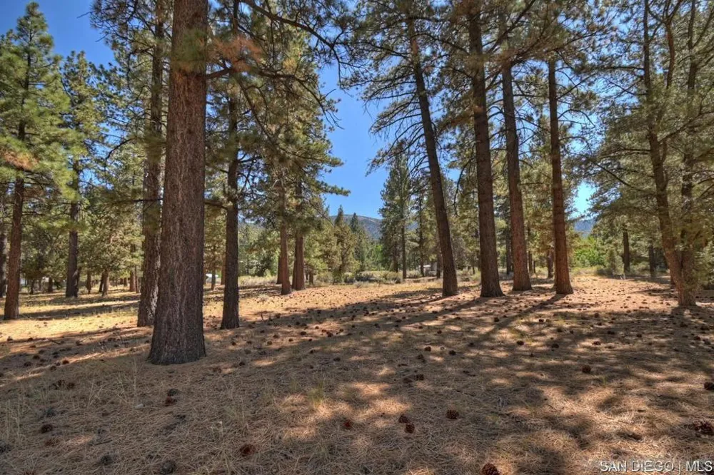 2161 Glencove LN Big Bear, CA 92314