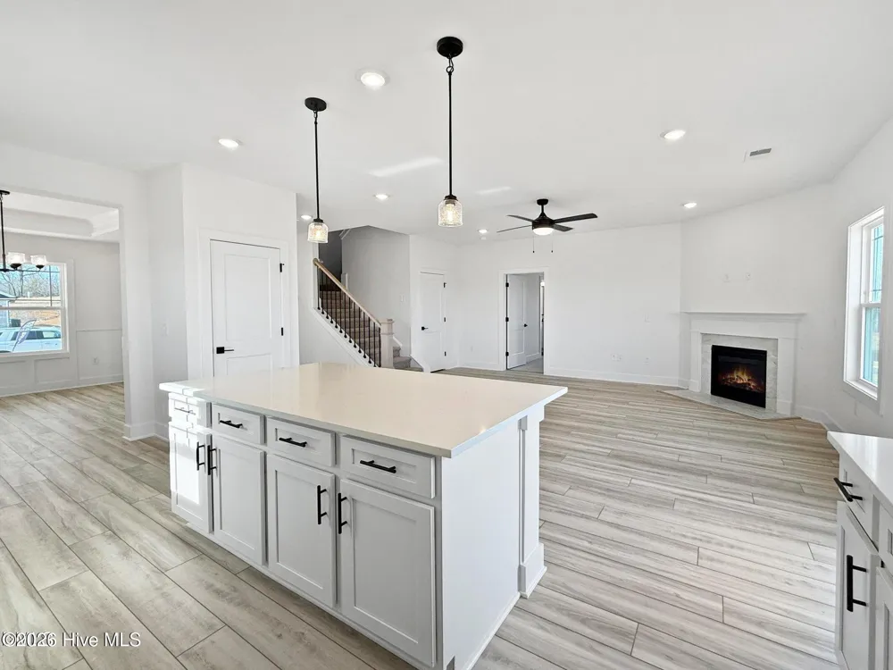 102 Jackson Ridge Way Pikeville, NC 27863