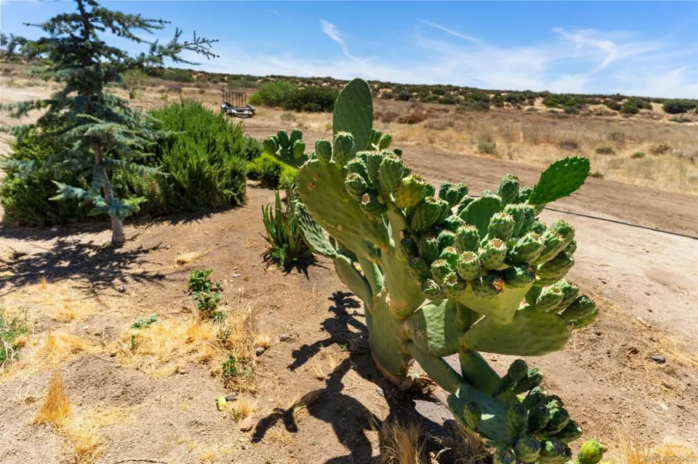 28391 Skyway Dr Ranchita, CA 92066