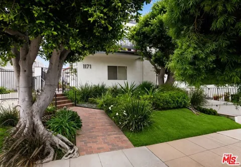 1171 Stanford Street #3