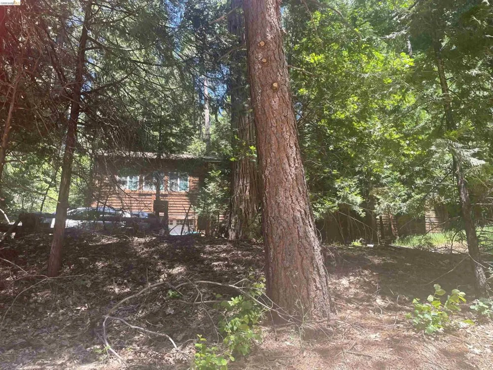 3201 Amber Trl Pollock Pines, CA 95726