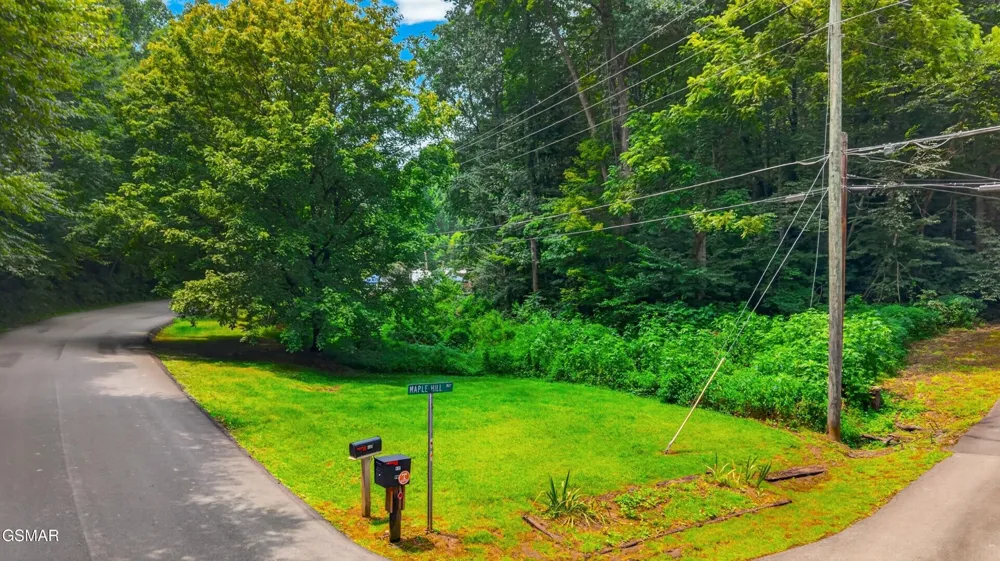 10 Maple Hill Way Gatlinburg, TN 37738