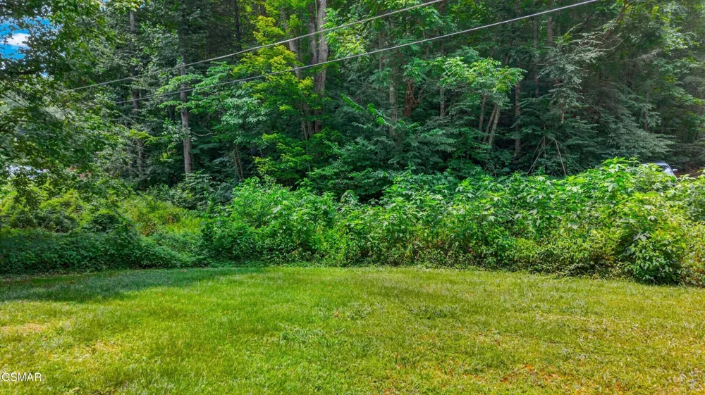 10 Maple Hill Way Gatlinburg, TN 37738