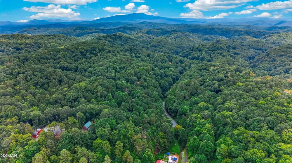 10 Maple Hill Way Gatlinburg, TN 37738