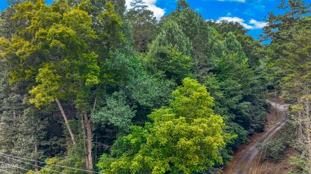 10 Maple Hill Way Gatlinburg, TN 37738