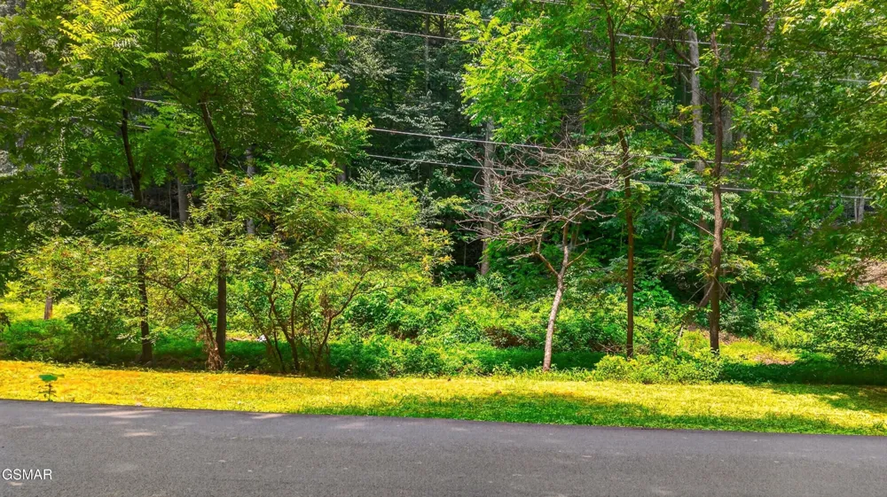 10 Maple Hill Way Gatlinburg, TN 37738