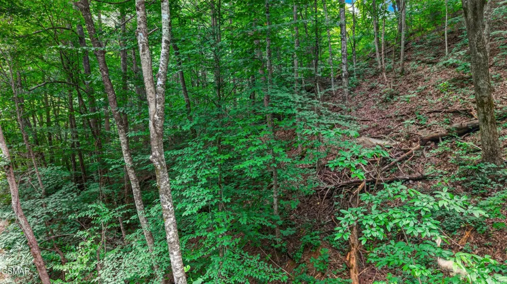 10 Maple Hill Way Gatlinburg, TN 37738