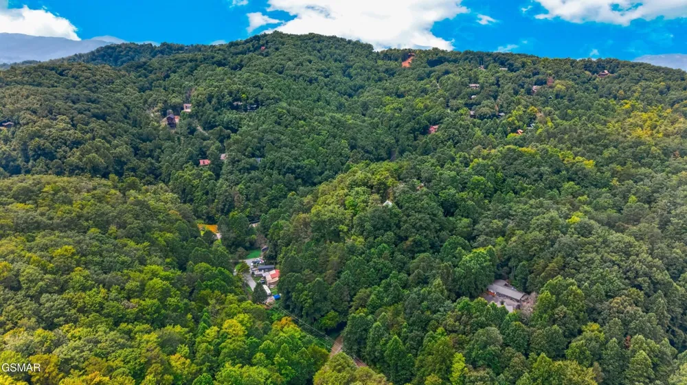 10 Maple Hill Way Gatlinburg, TN 37738