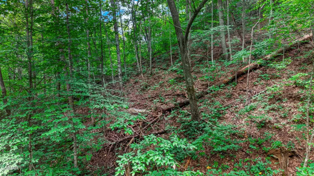 10 Maple Hill Way Gatlinburg, TN 37738