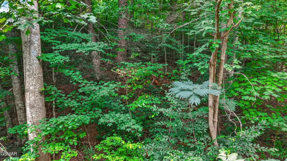 10 Maple Hill Way Gatlinburg, TN 37738