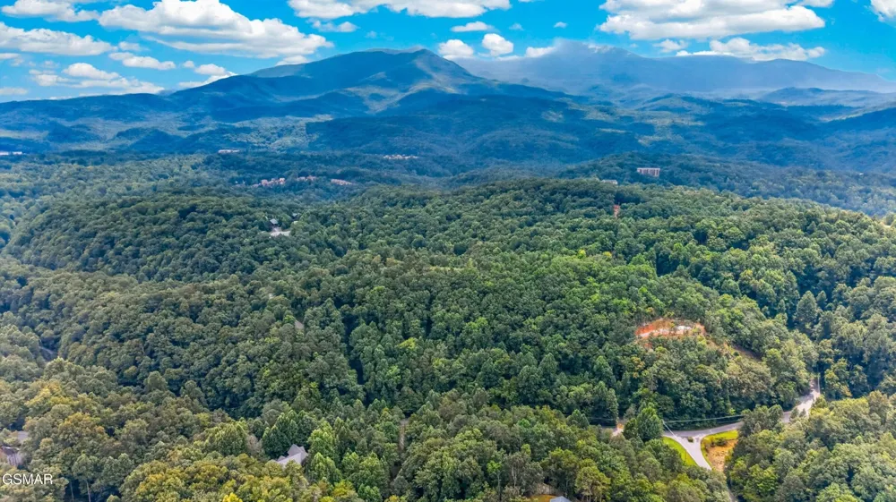 10 Maple Hill Way Gatlinburg, TN 37738