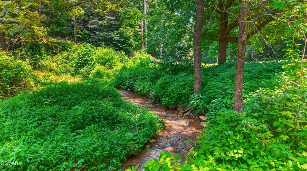 10 Maple Hill Way Gatlinburg, TN 37738