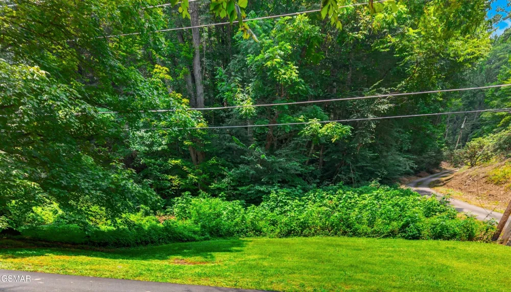 10 Maple Hill Way Gatlinburg, TN 37738