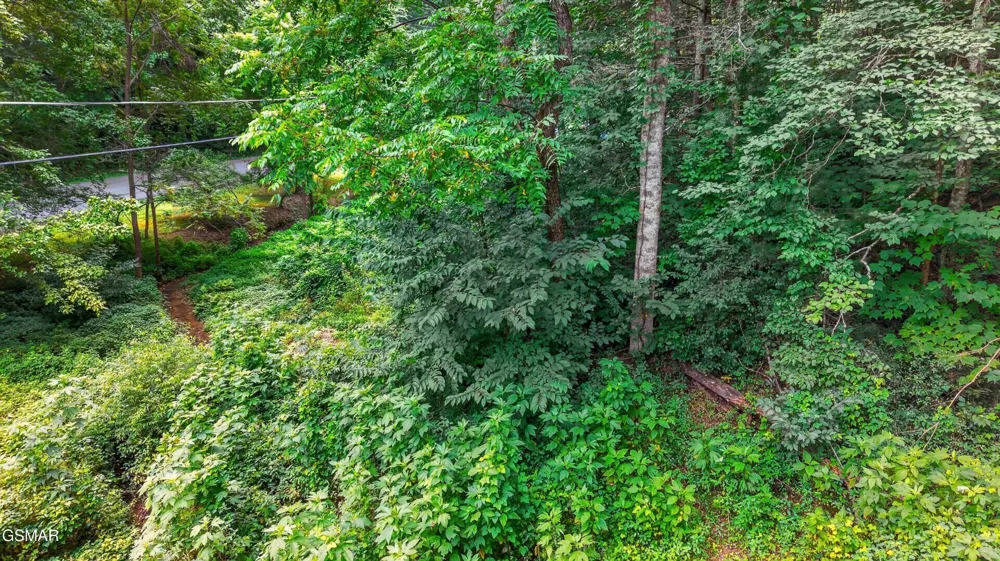 10 Maple Hill Way Gatlinburg, TN 37738