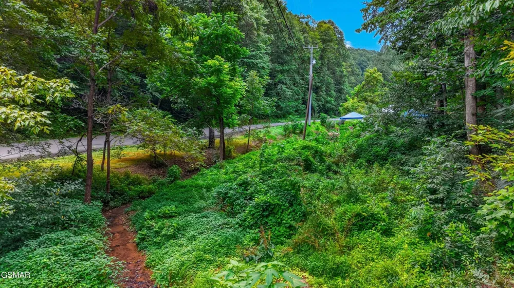 10 Maple Hill Way Gatlinburg, TN 37738