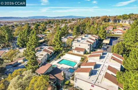 1333 Camino Alto