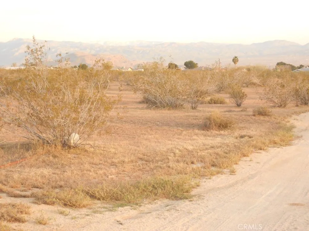 Ocotilla Road Apple Valley, CA 92308