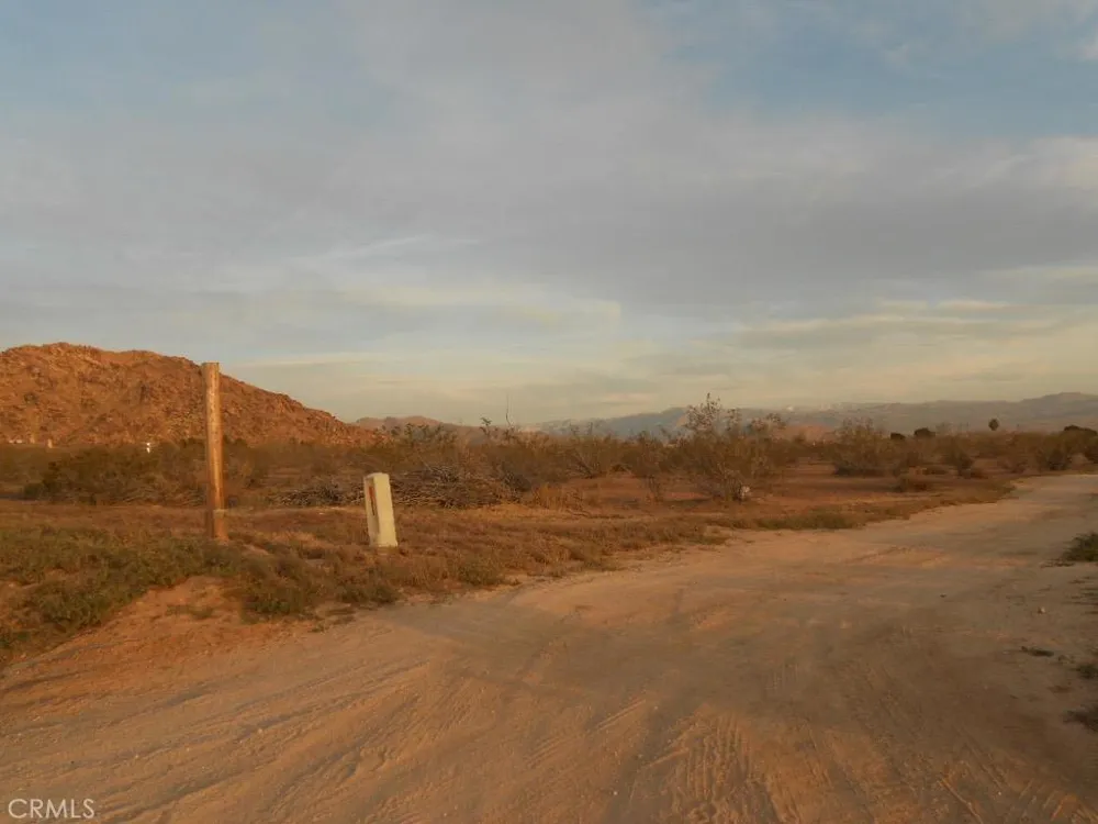 Ocotilla Road Apple Valley, CA 92308