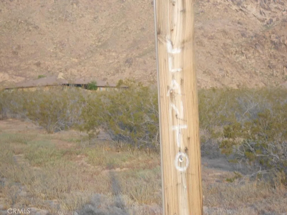 Ocotilla Road Apple Valley, CA 92308
