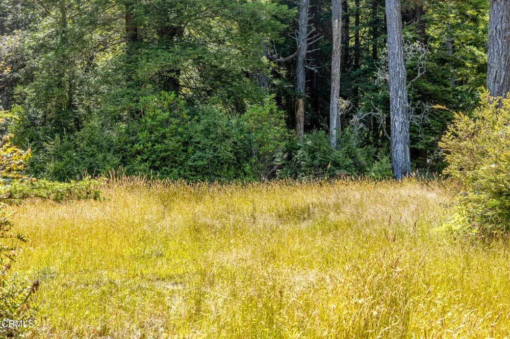 32401 Creekside Lane Fort Bragg, CA 95437