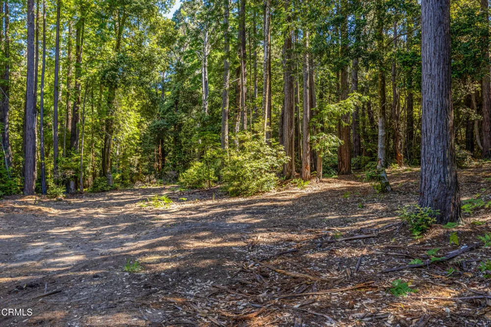 32401 Creekside Lane Fort Bragg, CA 95437
