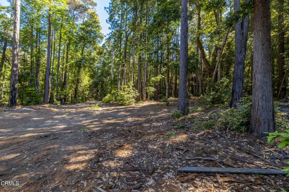 32401 Creekside Lane Fort Bragg, CA 95437