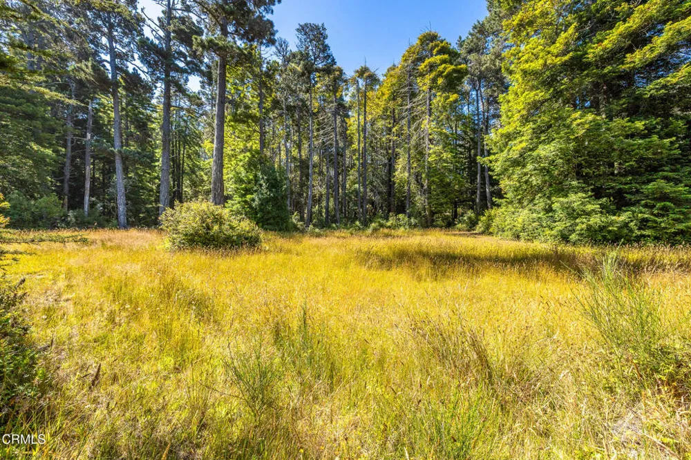 32401 Creekside Lane Fort Bragg, CA 95437