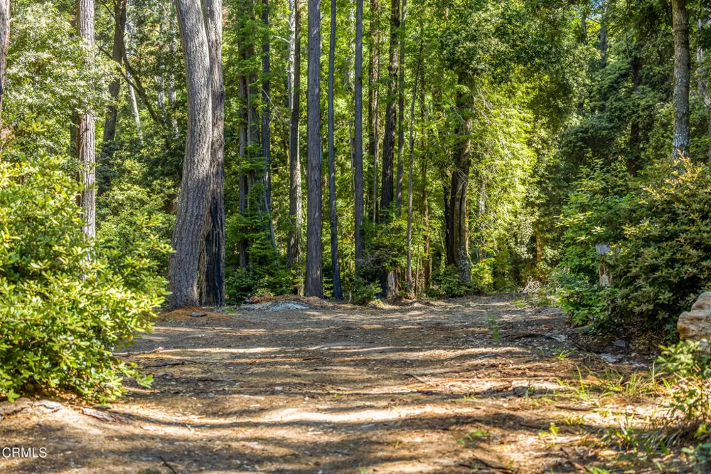 32401 Creekside Lane Fort Bragg, CA 95437