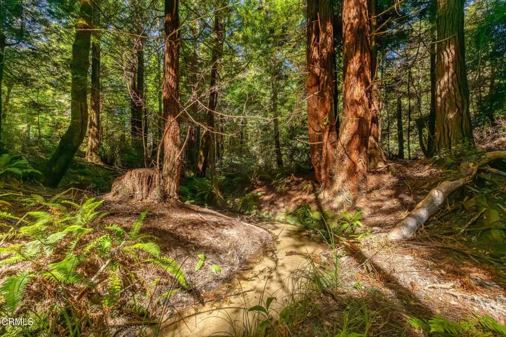 32401 Creekside Lane Fort Bragg, CA 95437