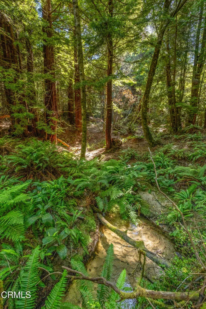 32401 Creekside Lane Fort Bragg, CA 95437