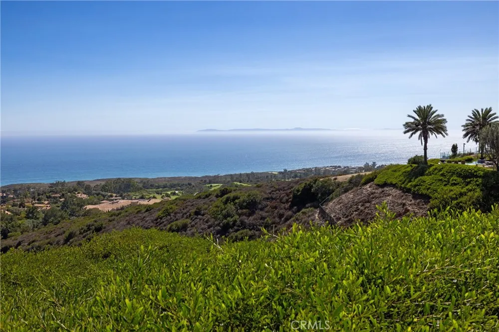 23 Pelican Vista Newport Coast, CA 92657