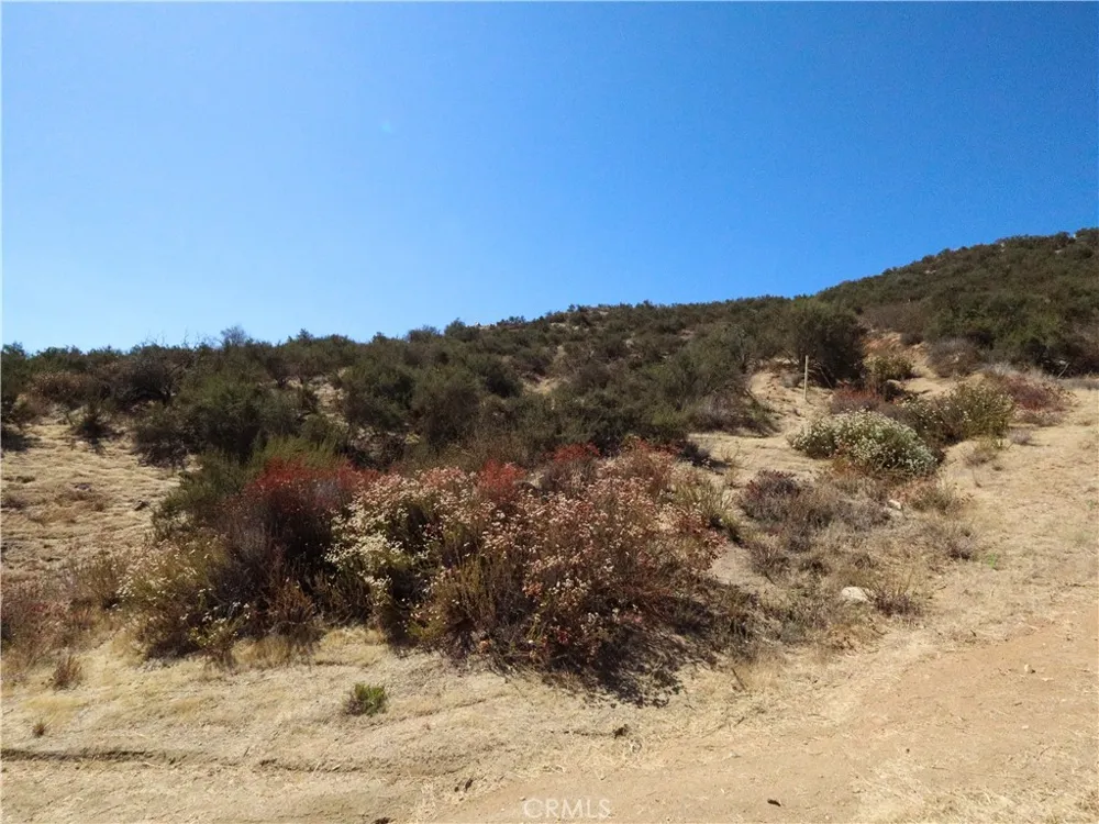 1 Wickerd Road Menifee, CA 92584