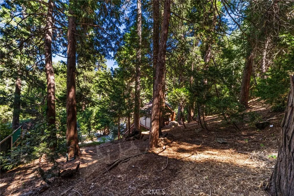 24599 Geneva Dr Crestline, CA 92325
