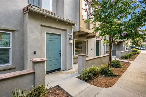7155 Citrus #372