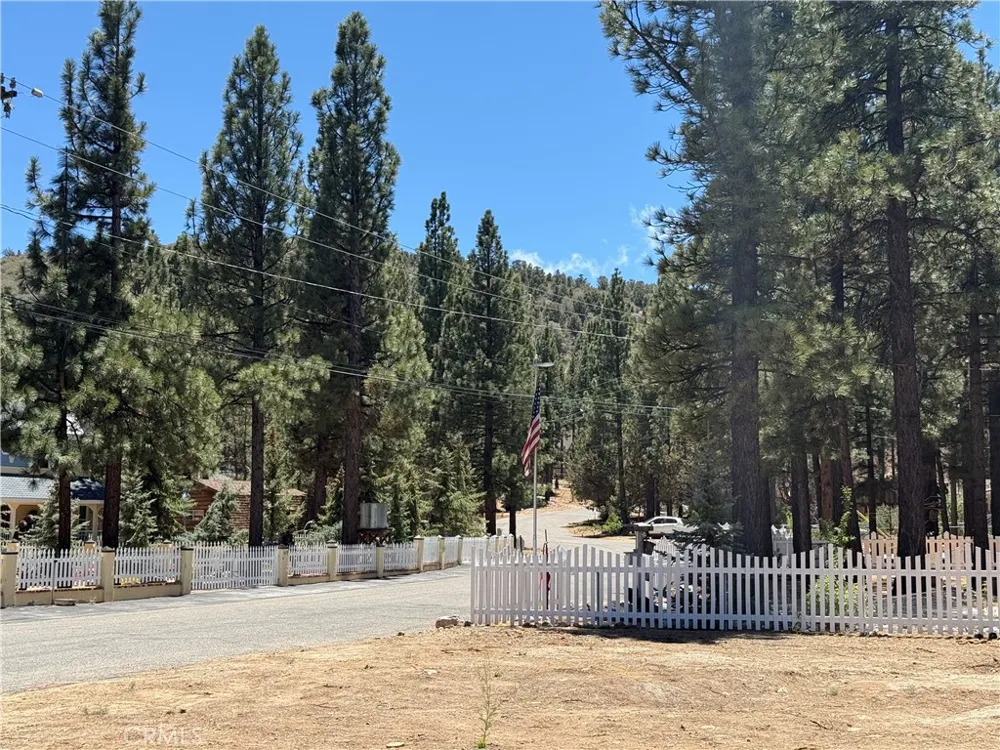 1051 Ash Big Bear City, CA 92314