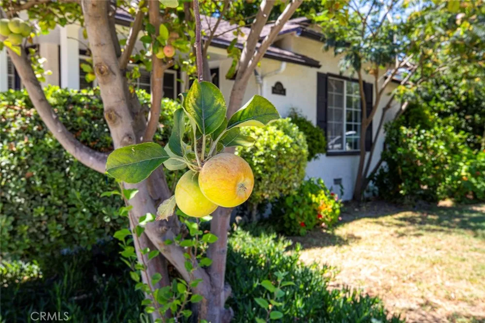6331 Murietta Avenue Van Nuys, CA 91401