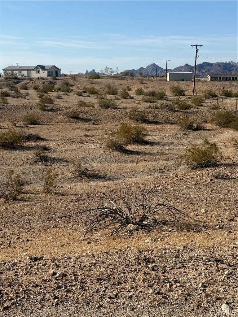 Colorado Needles, CA 92363