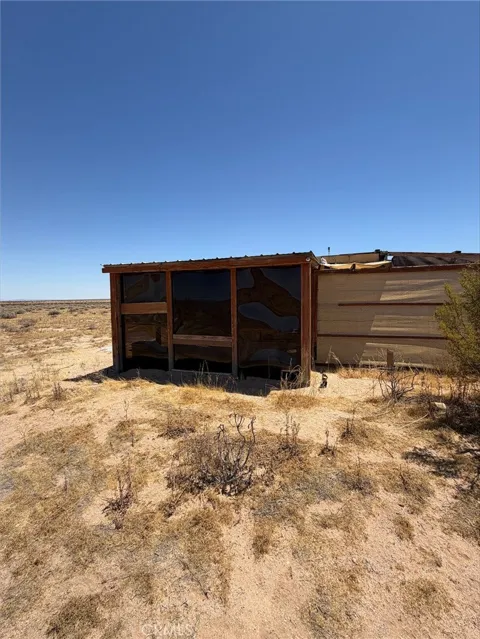 4620634 Buckthorne