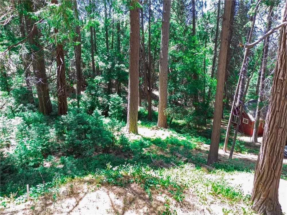 590 Electra Drive Crestline, CA 92325