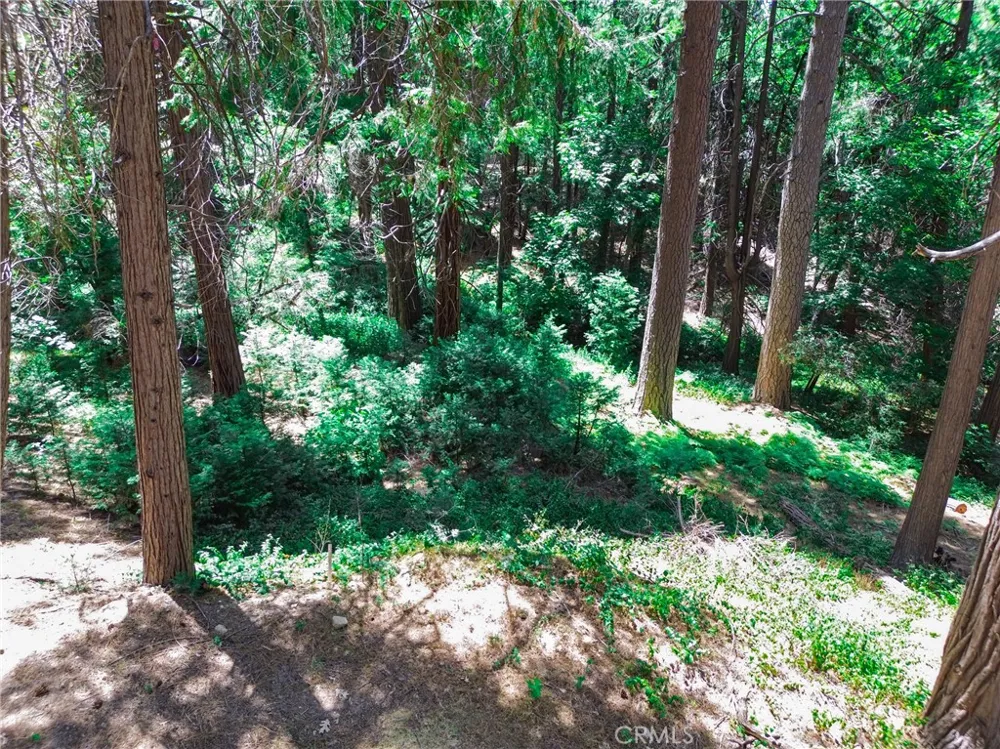 590 Electra Drive Crestline, CA 92325