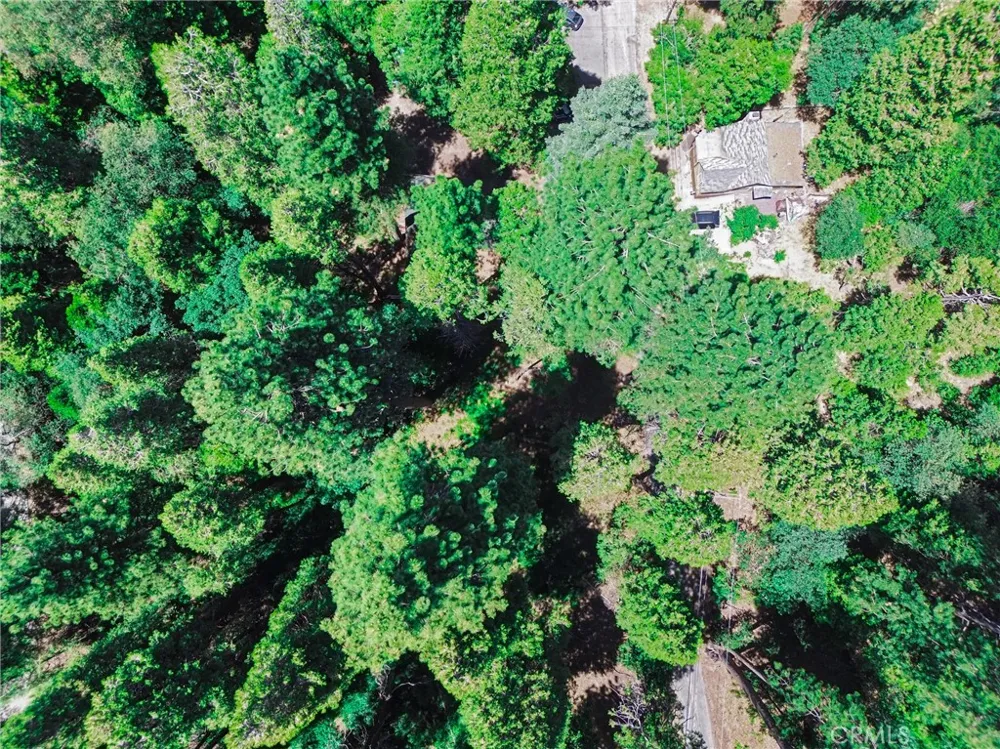 590 Electra Drive Crestline, CA 92325