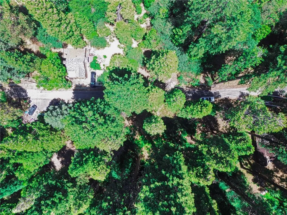 590 Electra Drive Crestline, CA 92325