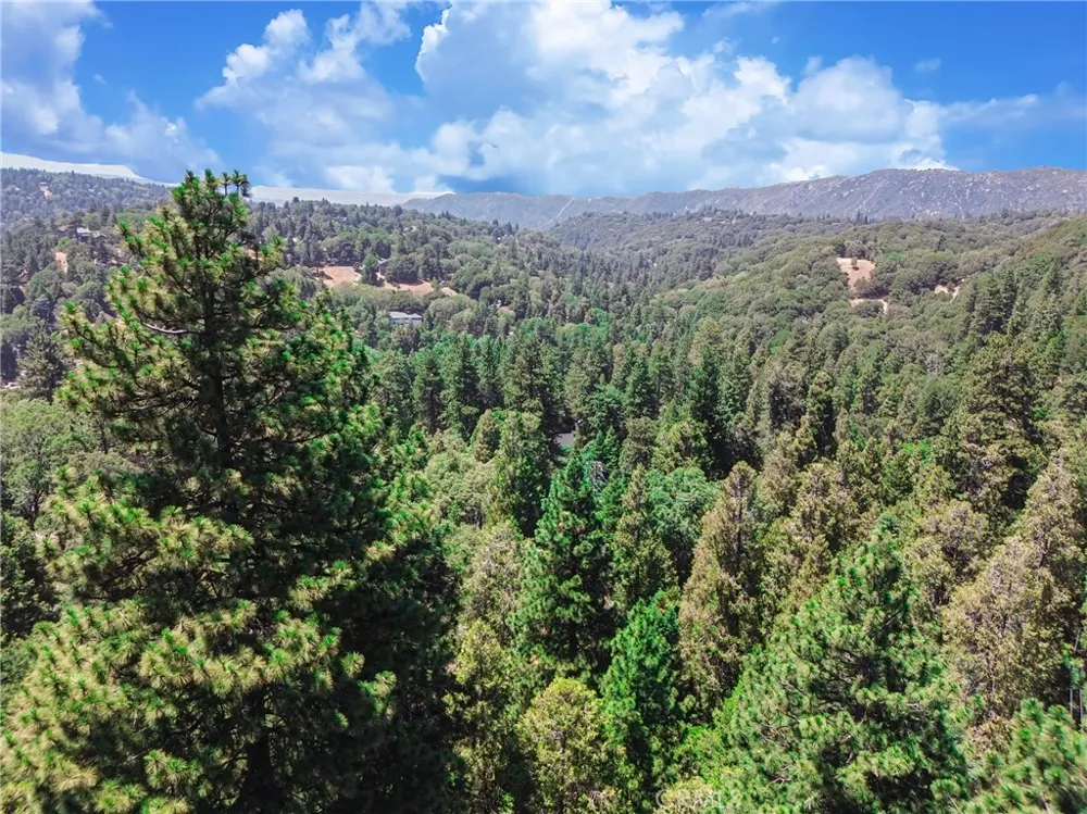 590 Electra Drive Crestline, CA 92325