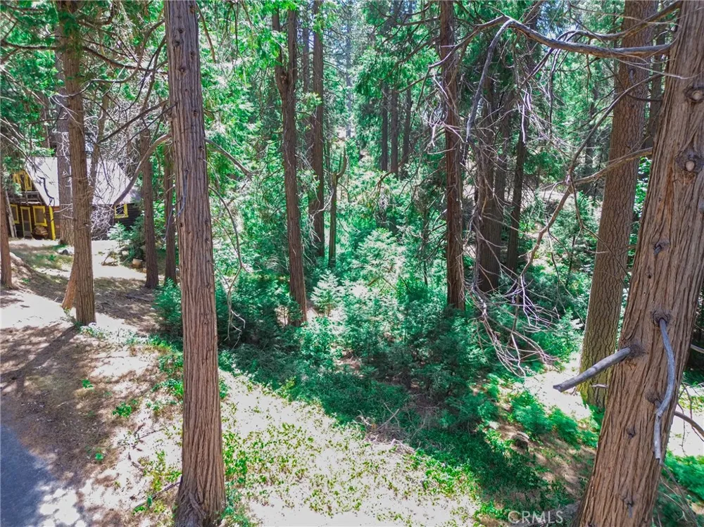 590 Electra Drive Crestline, CA 92325