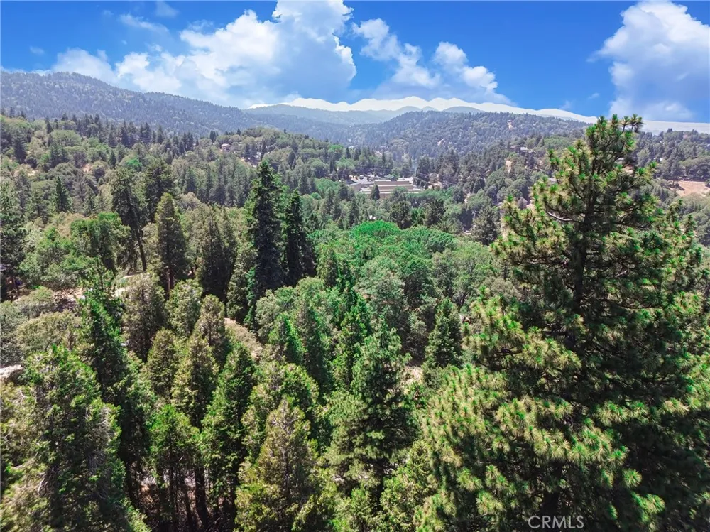 590 Electra Drive Crestline, CA 92325