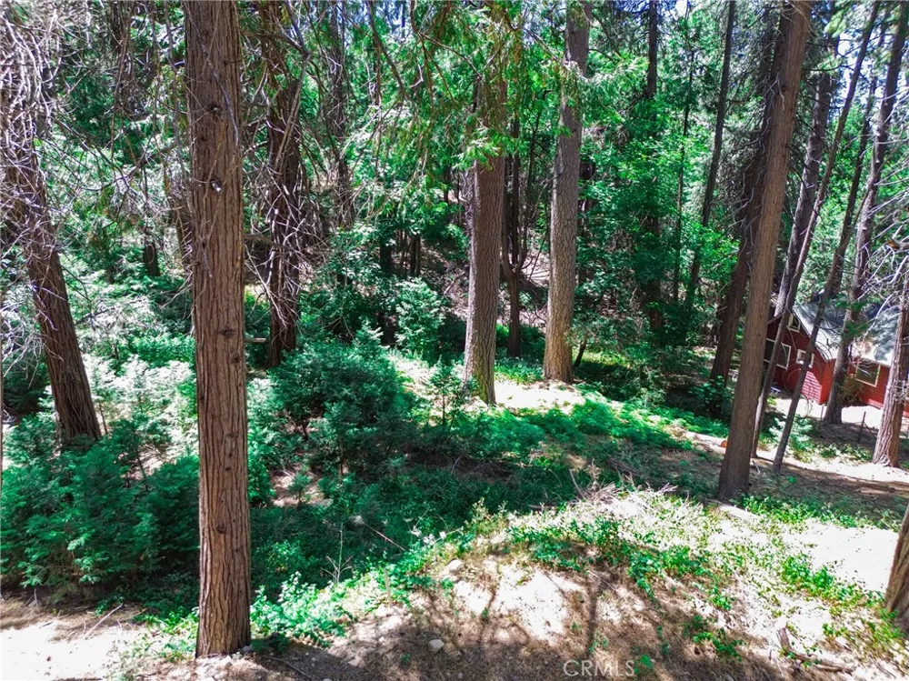 590 Electra Drive Crestline, CA 92325